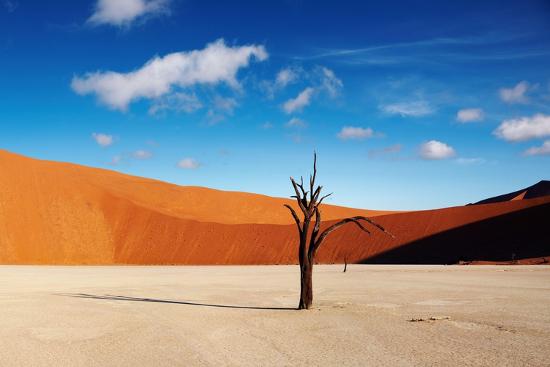 Photo, , large