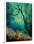 Dead Tree in Misty Landscape-Pol Ledent-Framed Art Print