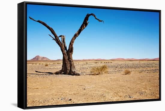 Dead Tree in Namib Desert- Sossusvlei, Namibia.-DmitryP-Framed Stretched Canvas