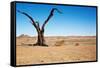 Dead Tree in Namib Desert- Sossusvlei, Namibia.-DmitryP-Framed Stretched Canvas