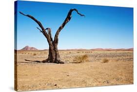 Dead Tree in Namib Desert- Sossusvlei, Namibia.-DmitryP-Stretched Canvas