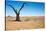 Dead Tree in Namib Desert- Sossusvlei, Namibia.-DmitryP-Stretched Canvas