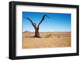 Dead Tree in Namib Desert- Sossusvlei, Namibia.-DmitryP-Framed Photographic Print