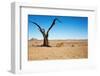 Dead Tree in Namib Desert- Sossusvlei, Namibia.-DmitryP-Framed Photographic Print