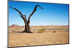 Dead Tree in Namib Desert- Sossusvlei, Namibia.-DmitryP-Mounted Photographic Print