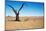 Dead Tree in Namib Desert- Sossusvlei, Namibia.-DmitryP-Mounted Photographic Print