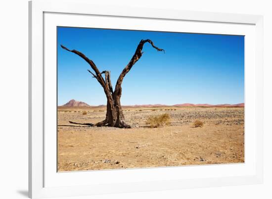 Dead Tree in Namib Desert- Sossusvlei, Namibia.-DmitryP-Framed Photographic Print