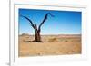 Dead Tree in Namib Desert- Sossusvlei, Namibia.-DmitryP-Framed Photographic Print