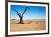 Dead Tree in Namib Desert- Sossusvlei, Namibia.-DmitryP-Framed Photographic Print