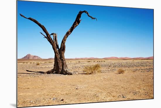 Dead Tree in Namib Desert- Sossusvlei, Namibia.-DmitryP-Mounted Photographic Print