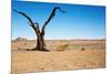 Dead Tree in Namib Desert- Sossusvlei, Namibia.-DmitryP-Mounted Photographic Print