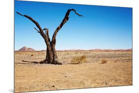 Dead Tree in Namib Desert- Sossusvlei, Namibia.-DmitryP-Mounted Photographic Print