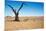 Dead Tree in Namib Desert- Sossusvlei, Namibia.-DmitryP-Mounted Photographic Print