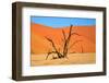 Dead Tree in Sossusvlei-watchtheworld-Framed Premium Photographic Print