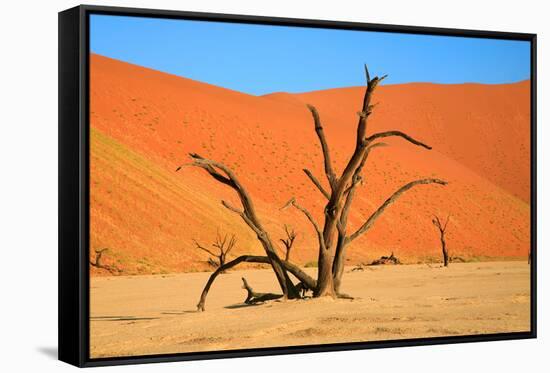 Dead Tree in Sossusvlei-watchtheworld-Framed Stretched Canvas