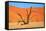 Dead Tree in Sossusvlei-watchtheworld-Framed Stretched Canvas