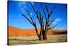 Dead Tree in Sossusvlei-watchtheworld-Stretched Canvas