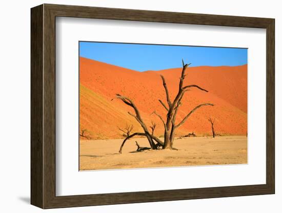 Dead Tree in Sossusvlei-watchtheworld-Framed Photographic Print