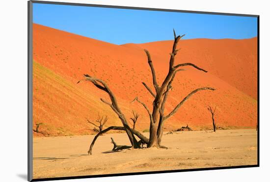 Dead Tree in Sossusvlei-watchtheworld-Mounted Photographic Print