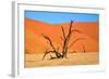 Dead Tree in Sossusvlei-watchtheworld-Framed Photographic Print