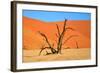 Dead Tree in Sossusvlei-watchtheworld-Framed Photographic Print