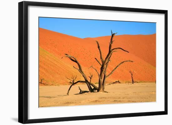 Dead Tree in Sossusvlei-watchtheworld-Framed Photographic Print