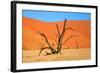 Dead Tree in Sossusvlei-watchtheworld-Framed Photographic Print