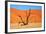 Dead Tree in Sossusvlei-watchtheworld-Framed Photographic Print