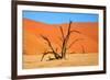 Dead Tree in Sossusvlei-watchtheworld-Framed Photographic Print