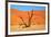 Dead Tree in Sossusvlei-watchtheworld-Framed Photographic Print