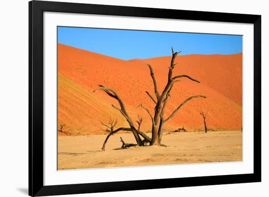 Dead Tree in Sossusvlei-watchtheworld-Framed Photographic Print