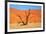 Dead Tree in Sossusvlei-watchtheworld-Framed Photographic Print