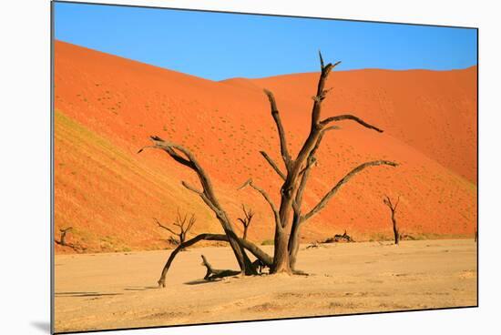 Dead Tree in Sossusvlei-watchtheworld-Mounted Photographic Print