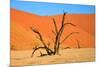 Dead Tree in Sossusvlei-watchtheworld-Mounted Photographic Print