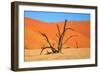 Dead Tree in Sossusvlei-watchtheworld-Framed Photographic Print