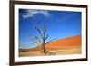 Dead Tree in Sossusvlei-watchtheworld-Framed Photographic Print