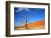 Dead Tree in Sossusvlei-watchtheworld-Framed Photographic Print