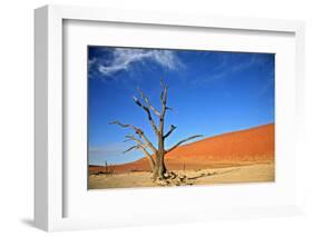 Dead Tree in Sossusvlei-watchtheworld-Framed Photographic Print