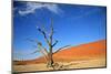 Dead Tree in Sossusvlei-watchtheworld-Mounted Photographic Print