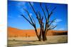 Dead Tree in Sossusvlei-watchtheworld-Mounted Photographic Print