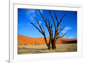 Dead Tree in Sossusvlei-watchtheworld-Framed Photographic Print