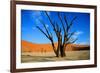 Dead Tree in Sossusvlei-watchtheworld-Framed Photographic Print