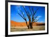 Dead Tree in Sossusvlei-watchtheworld-Framed Photographic Print