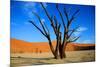 Dead Tree in Sossusvlei-watchtheworld-Mounted Photographic Print