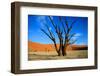 Dead Tree in Sossusvlei-watchtheworld-Framed Photographic Print