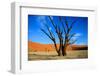 Dead Tree in Sossusvlei-watchtheworld-Framed Photographic Print