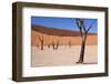 Dead Tree in the Dunes-jlombard-Framed Photographic Print