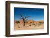 Dead Tree in the Hidden Vlei-Circumnavigation-Framed Photographic Print