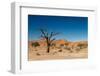 Dead Tree in the Hidden Vlei-Circumnavigation-Framed Photographic Print