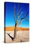 Dead Tree, Namib Desert, Namibia-DmitryP-Stretched Canvas